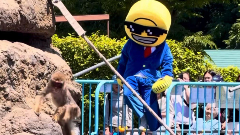 Americanos fantasiados s&atilde;o presos ap&oacute;s invadirem recinto de macaco viral no Jap&atilde;o